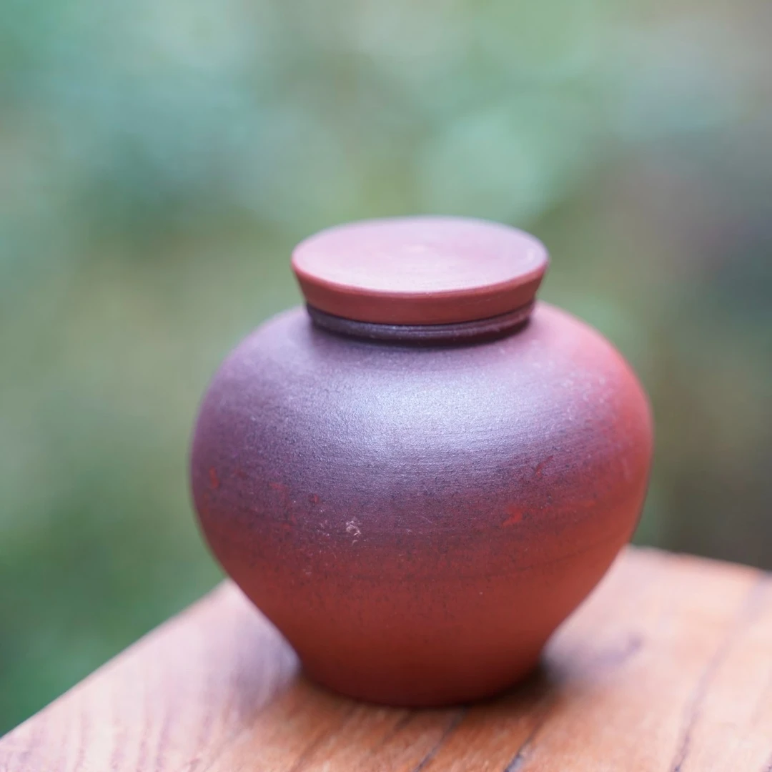 （ 99一鸣惊人）50g  特级  广西黑茶梧州纯好六堡茶