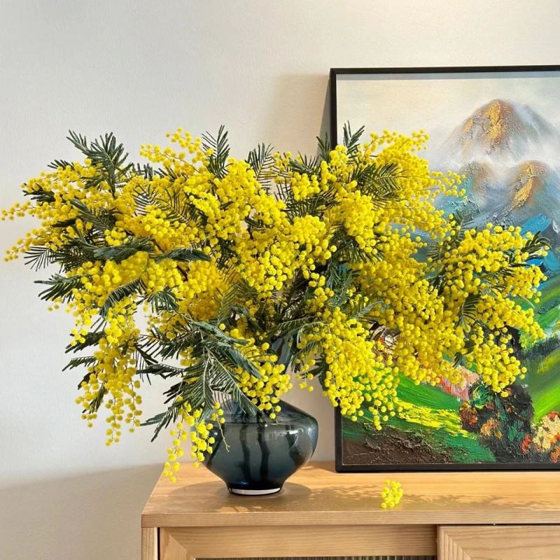 【拾花拾木】 羽叶金合欢 鲜花云南鲜花