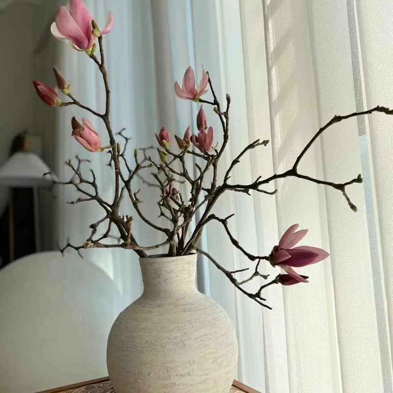 【拾花拾木】玉兰花 鲜花云南鲜花