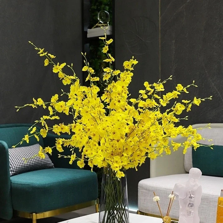 【拾花拾木】跳舞兰 鲜花 云南鲜花