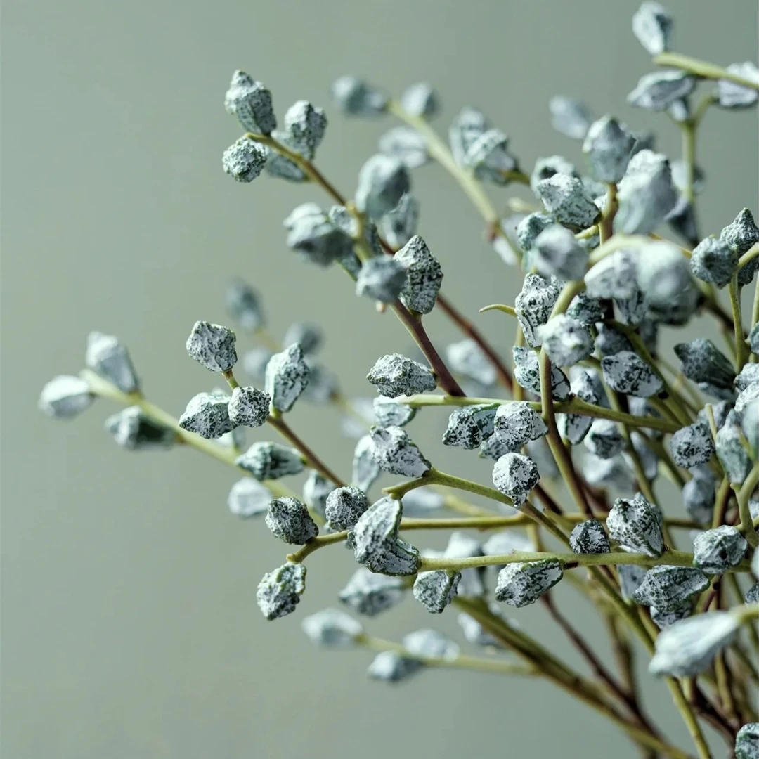 尤加利果新果尤加利鲜花云南鲜花特大昆明云南昆明花束花卉