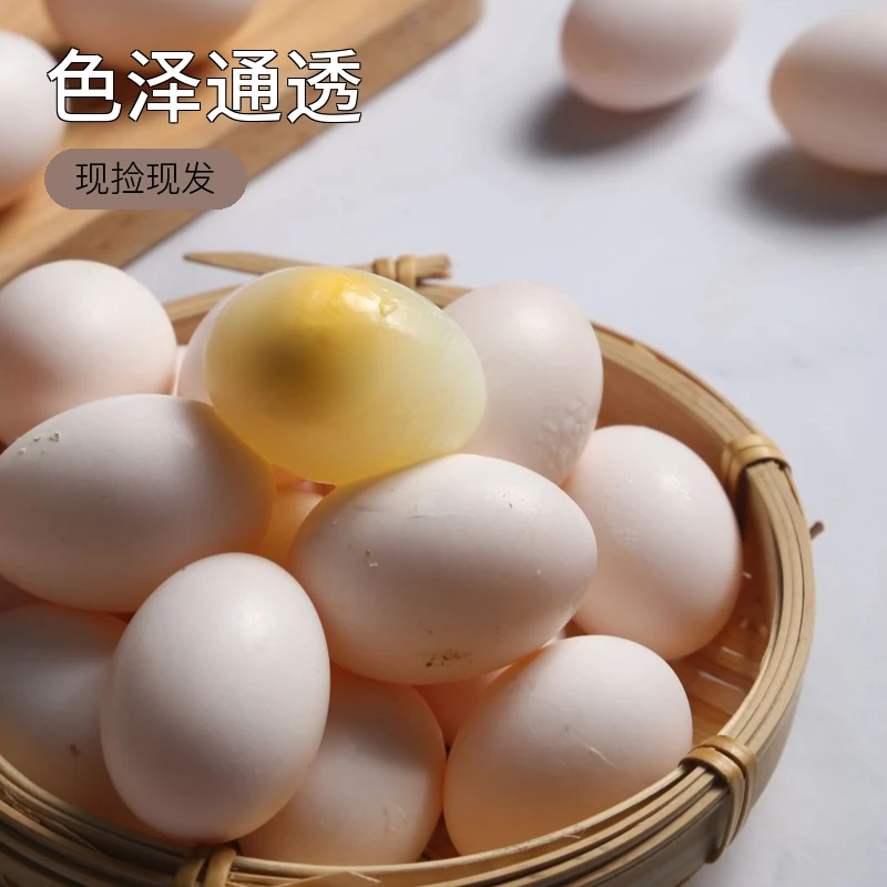 河南农家《鸽蛋鸽子蛋30枚》五谷杂粮散养现捡现发散黄、破损包赔