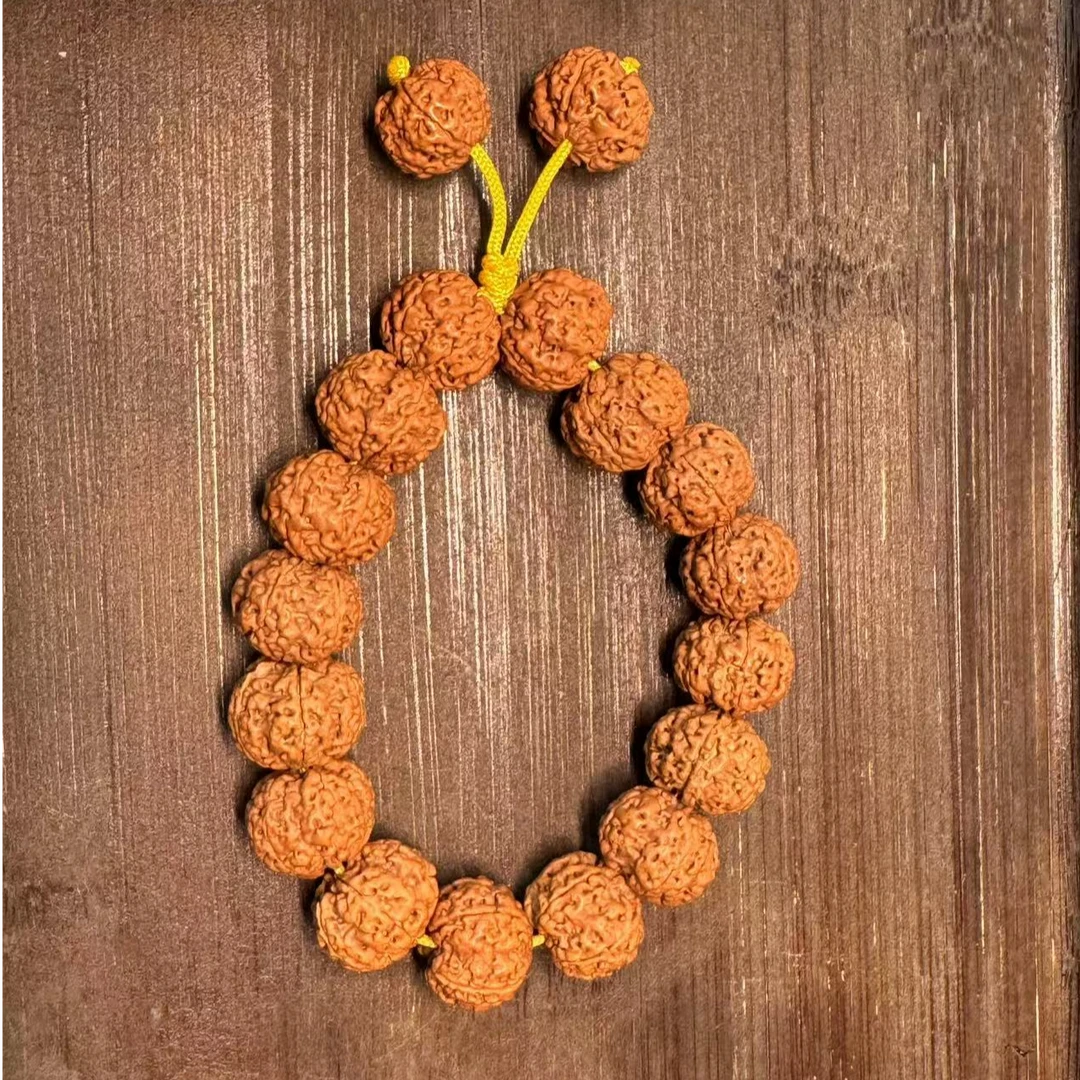 上新尼泊尔大金刚