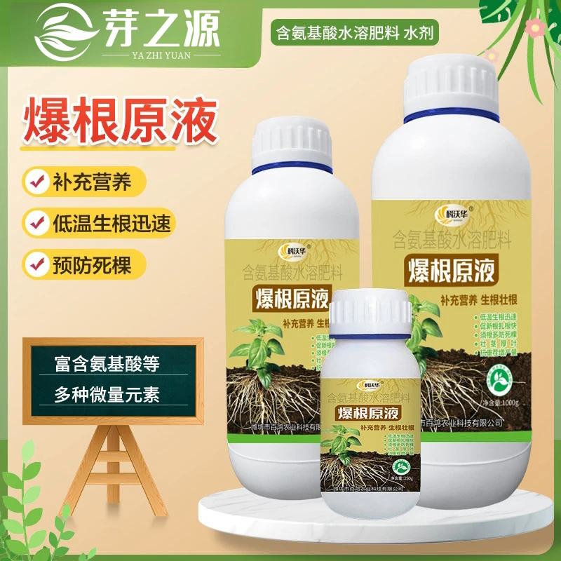 爆根原液强力生根壮苗剂扦插移栽花卉果树绿萝专用促生根壮根肥