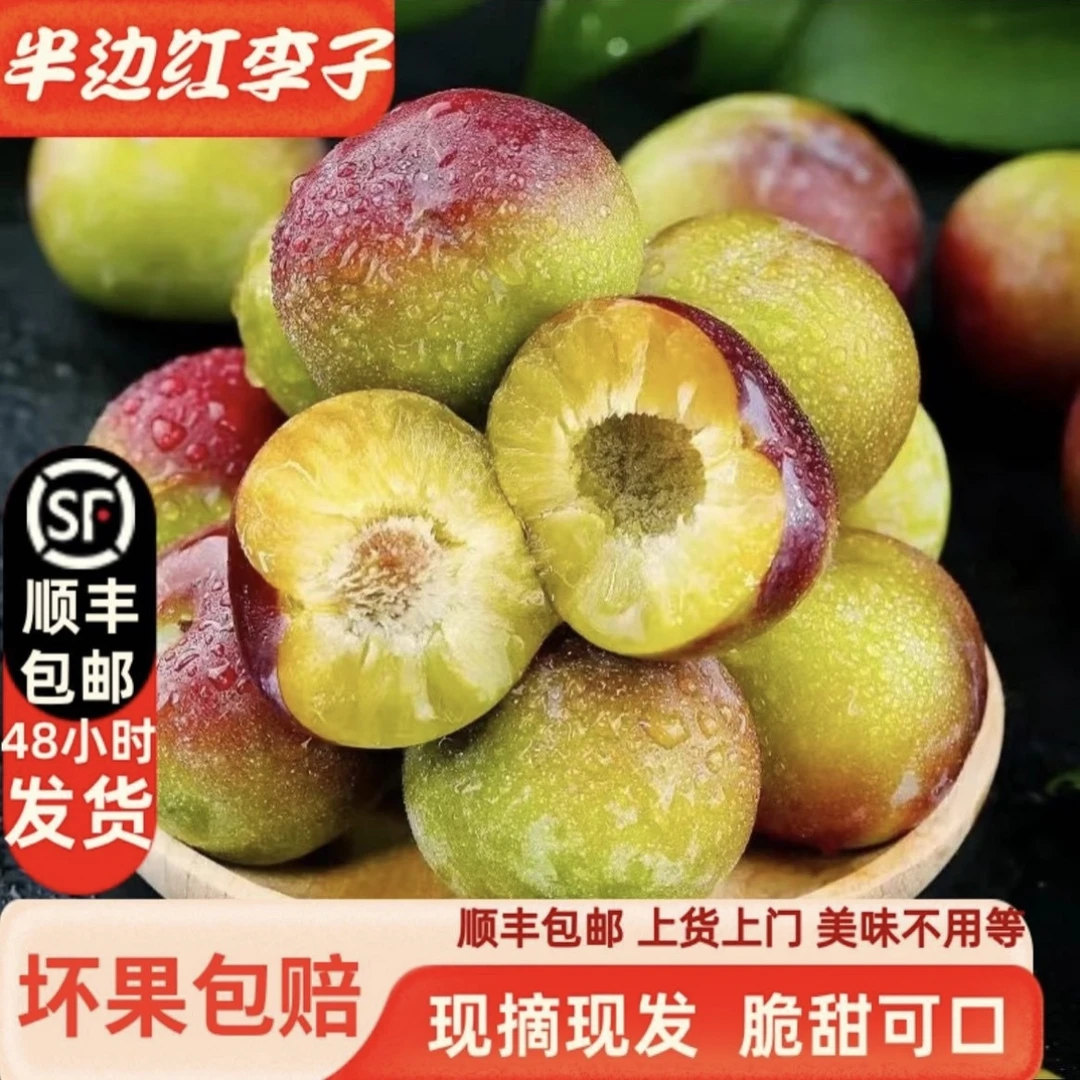 顺丰包邮青红脆李脱骨李四川产区果新鲜应季好吃大果现摘现发肉厚