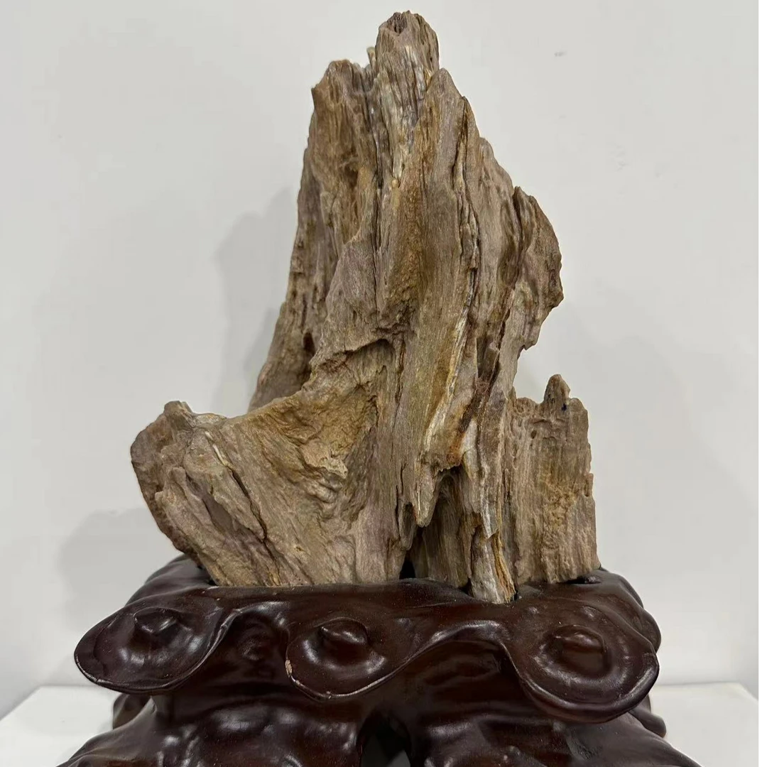 恒丰珠宝商行优选树化玉造型景观意境奇石家居精美摆件奇石1