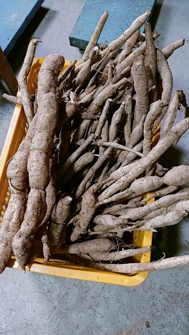 广西深山大力薯干货500克非人工种植