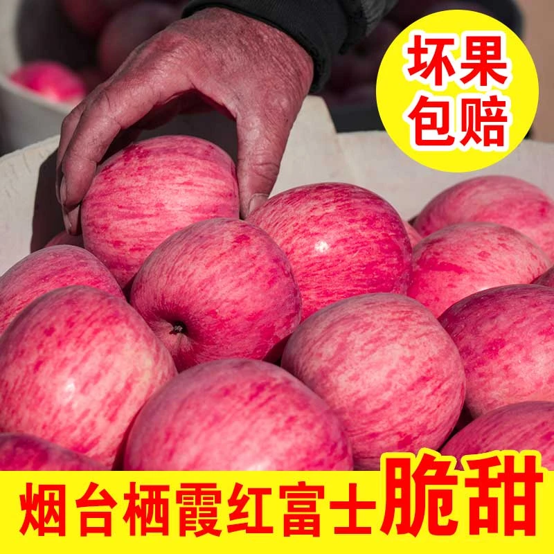 【买5斤送5斤】正宗山东烟台栖霞红富士苹果酥脆酥脆甜香甜霜降爽脆