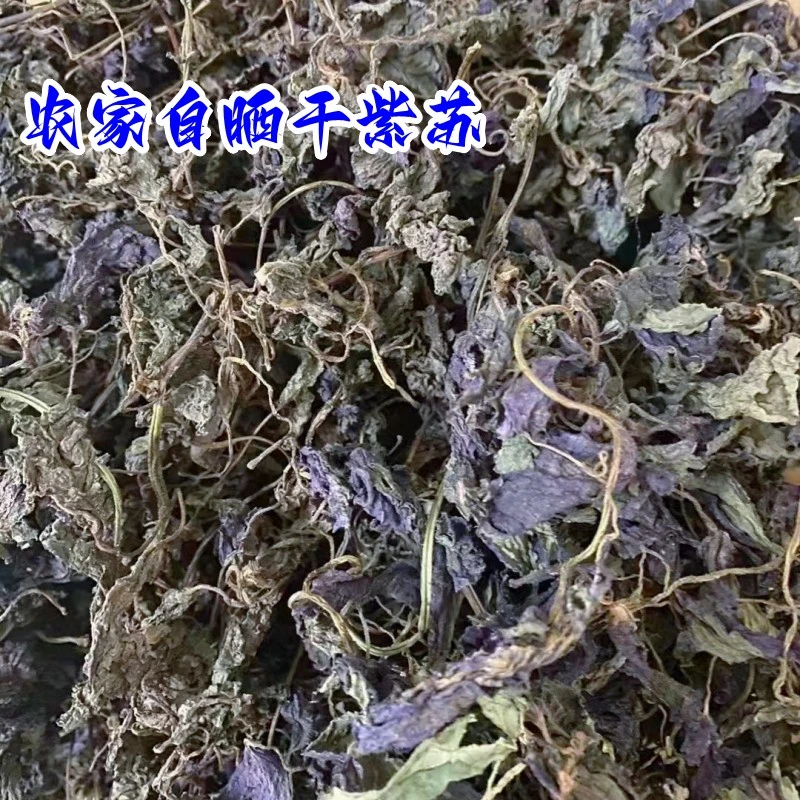 江西农家紫苏 新鲜现摘食用紫苏叶晒干 龙虾鱼虾蟹去腥提香调味菜