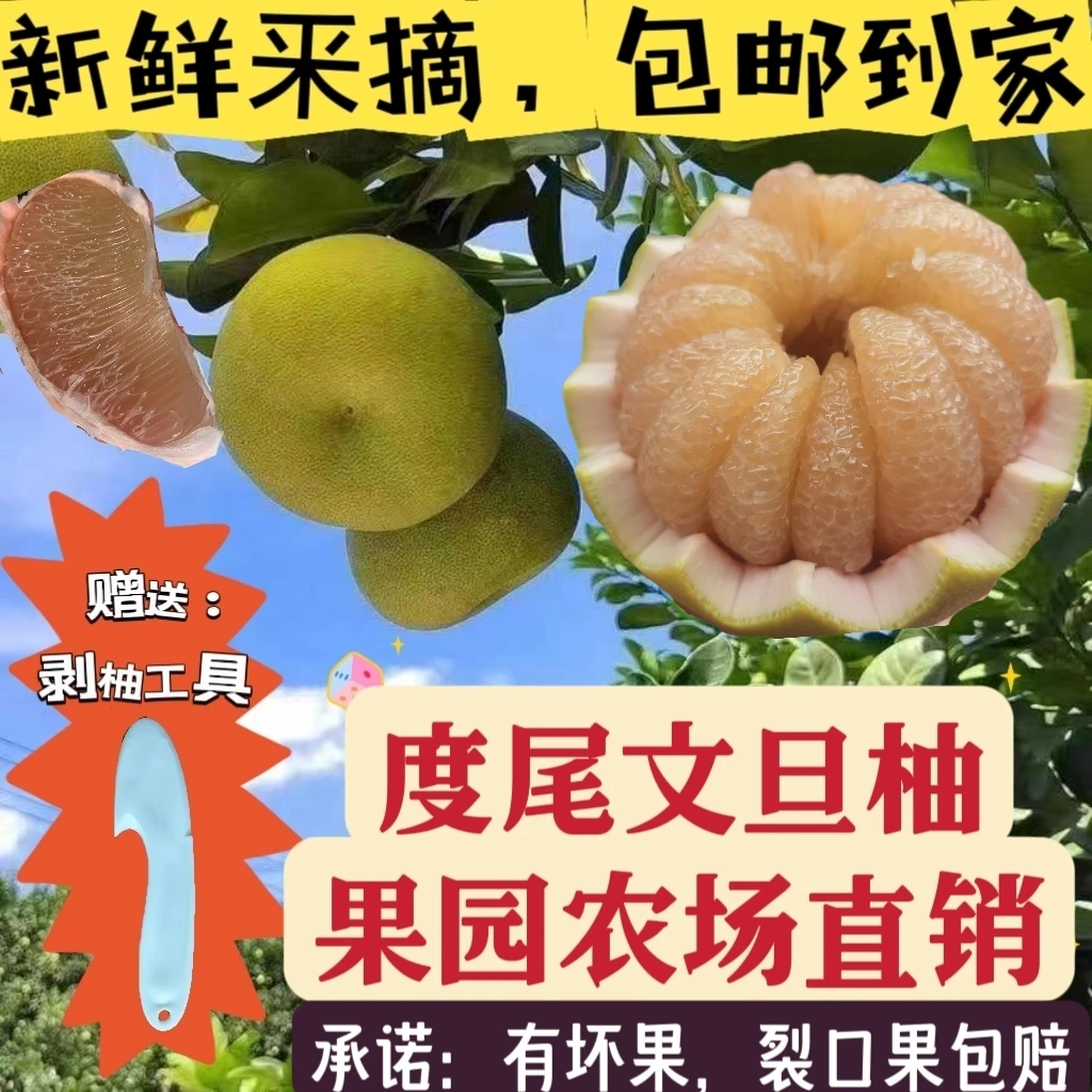 正宗福建仙游度尾红心文旦柚天然无孔应季孕妇水果酸甜多汁爆汁