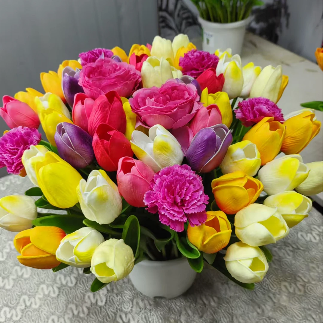 进口5度球【5个郁金香带盆栽好】回家浇水即可 盆栽 地栽室内外