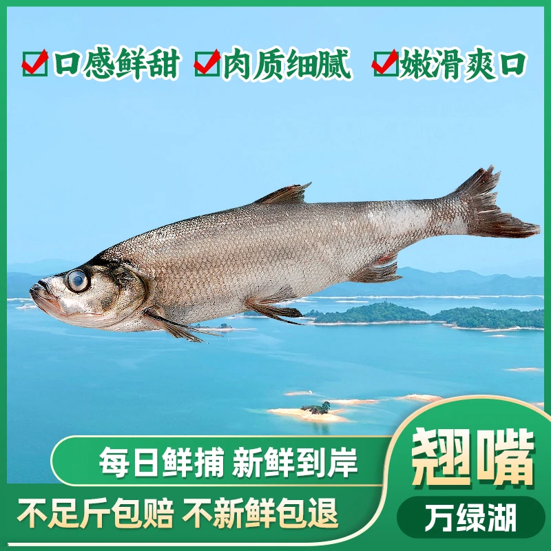 万绿湖打渔佬原生态翘嘴鱼河鲜冰鲜顺丰冷链清蒸