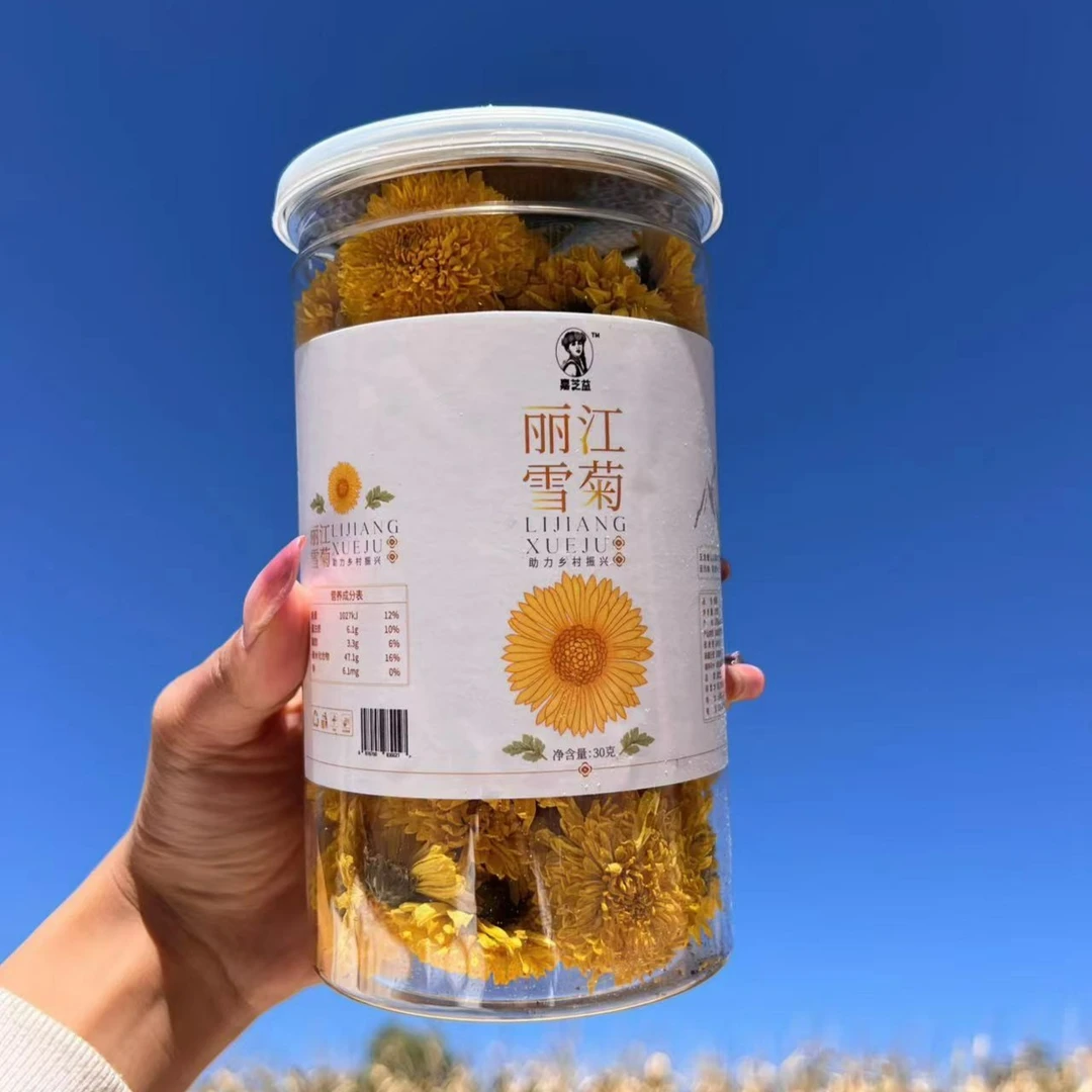 金丝皇菊包邮到家