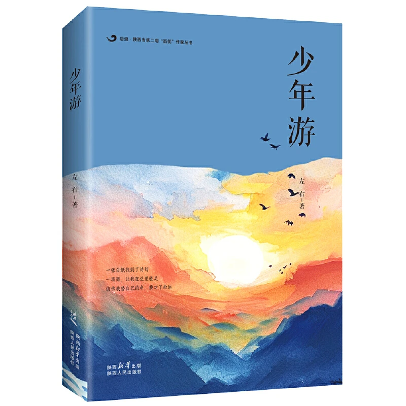 少年游 左右 陕西人民出版社 中国现当代文学诗歌 新华正版书籍