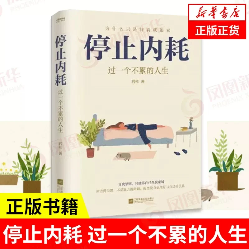 停止内耗 过一个不累的人生 停止精神内耗书籍