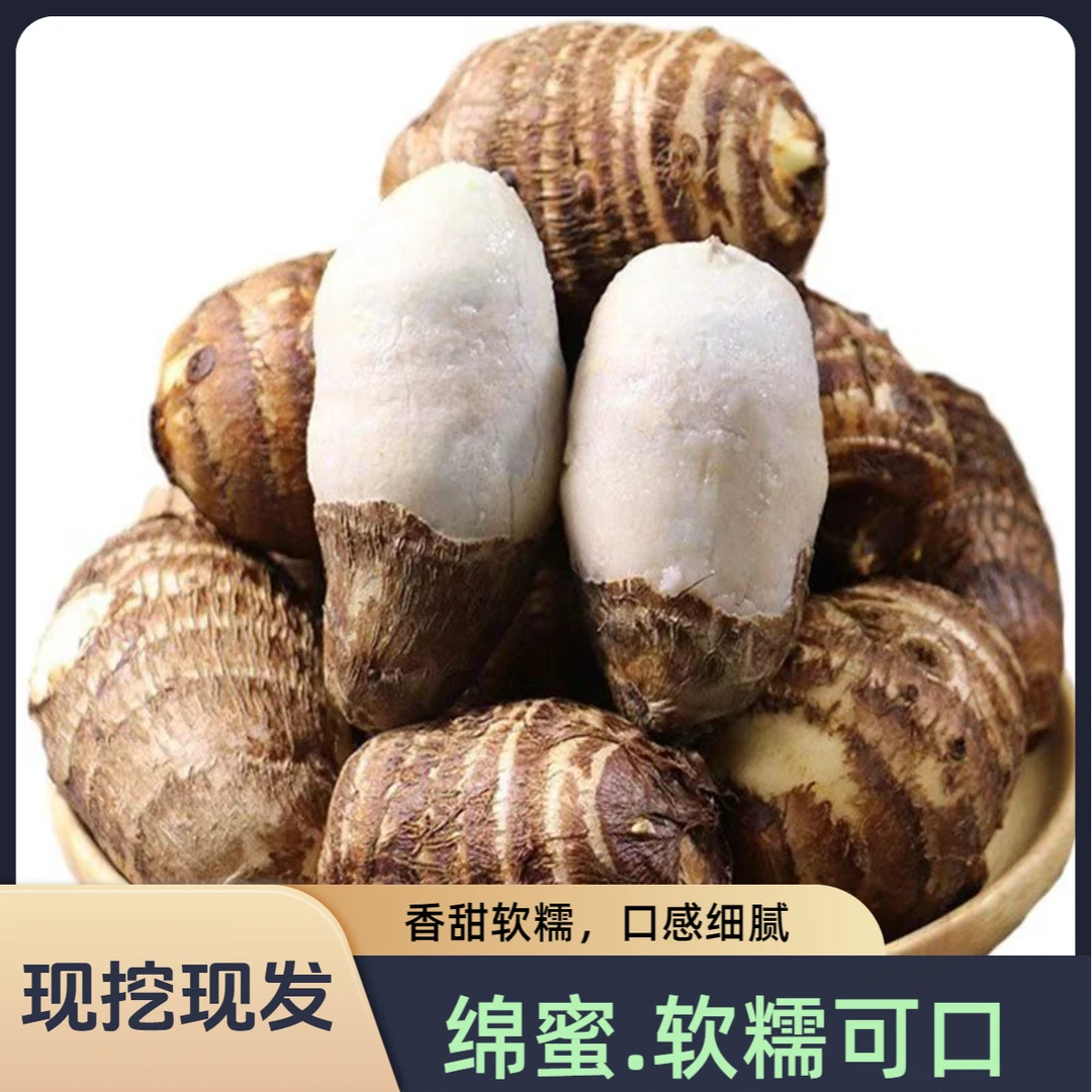 贵州农家高山现挖香芋新鲜正宗芋头芋艿粉糯产地地直发牛奶大芋头