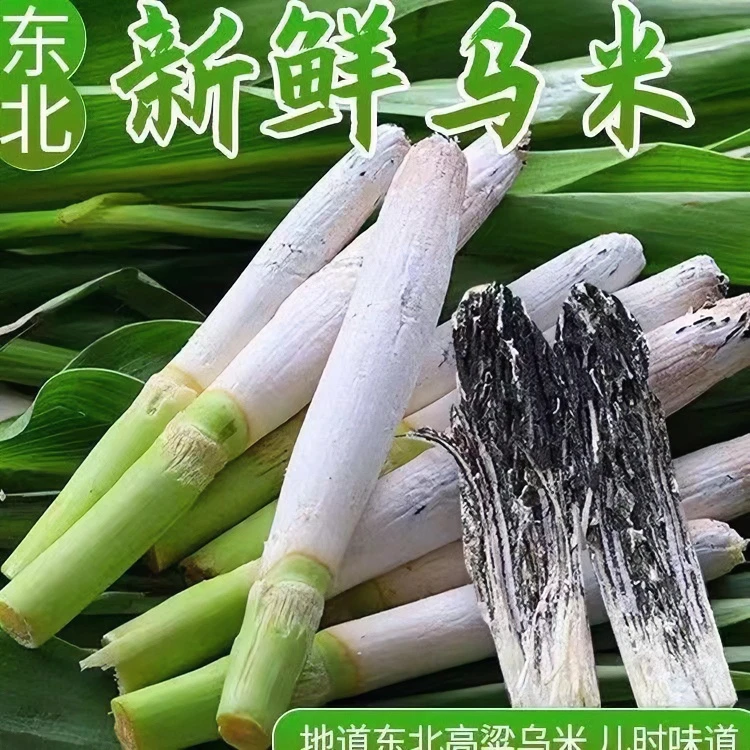 东北特产高粱乌米新鲜乌米农家自种新鲜蔬菜带皮包邮