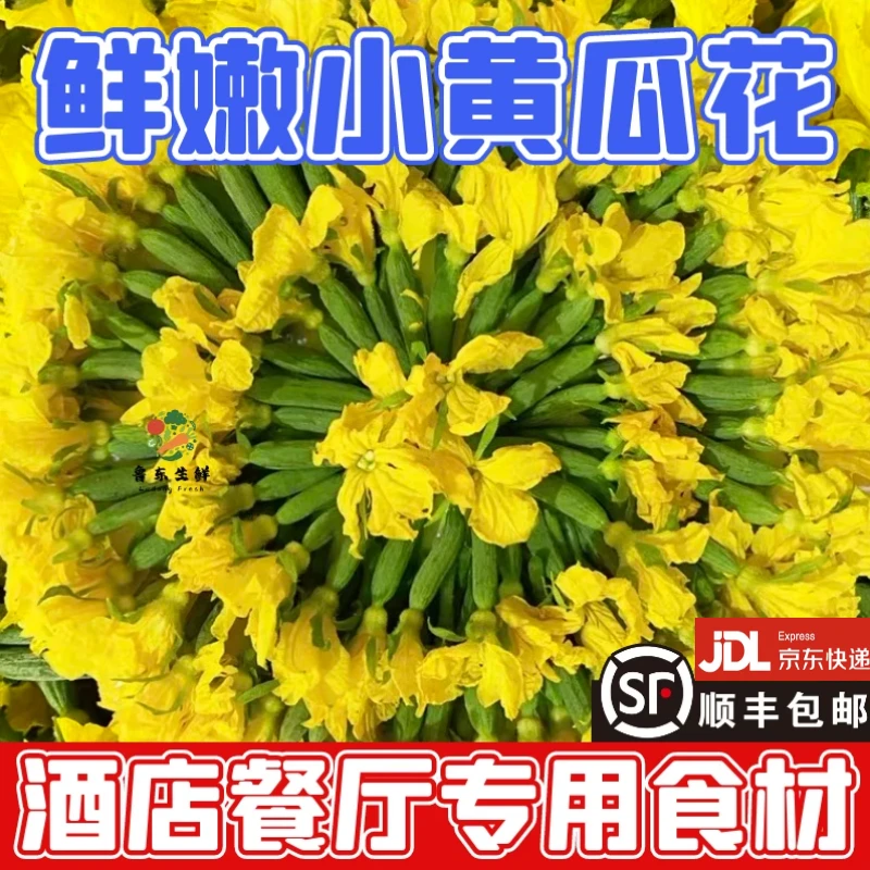 【每天现摘】寿光小黄瓜花青瓜花农家迷你乳瓜花饭店食材发京东顺丰