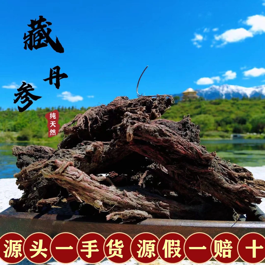 西藏老丹参 藏丹参 整根多年大个100g天然丹参片段山货山药丹参粉