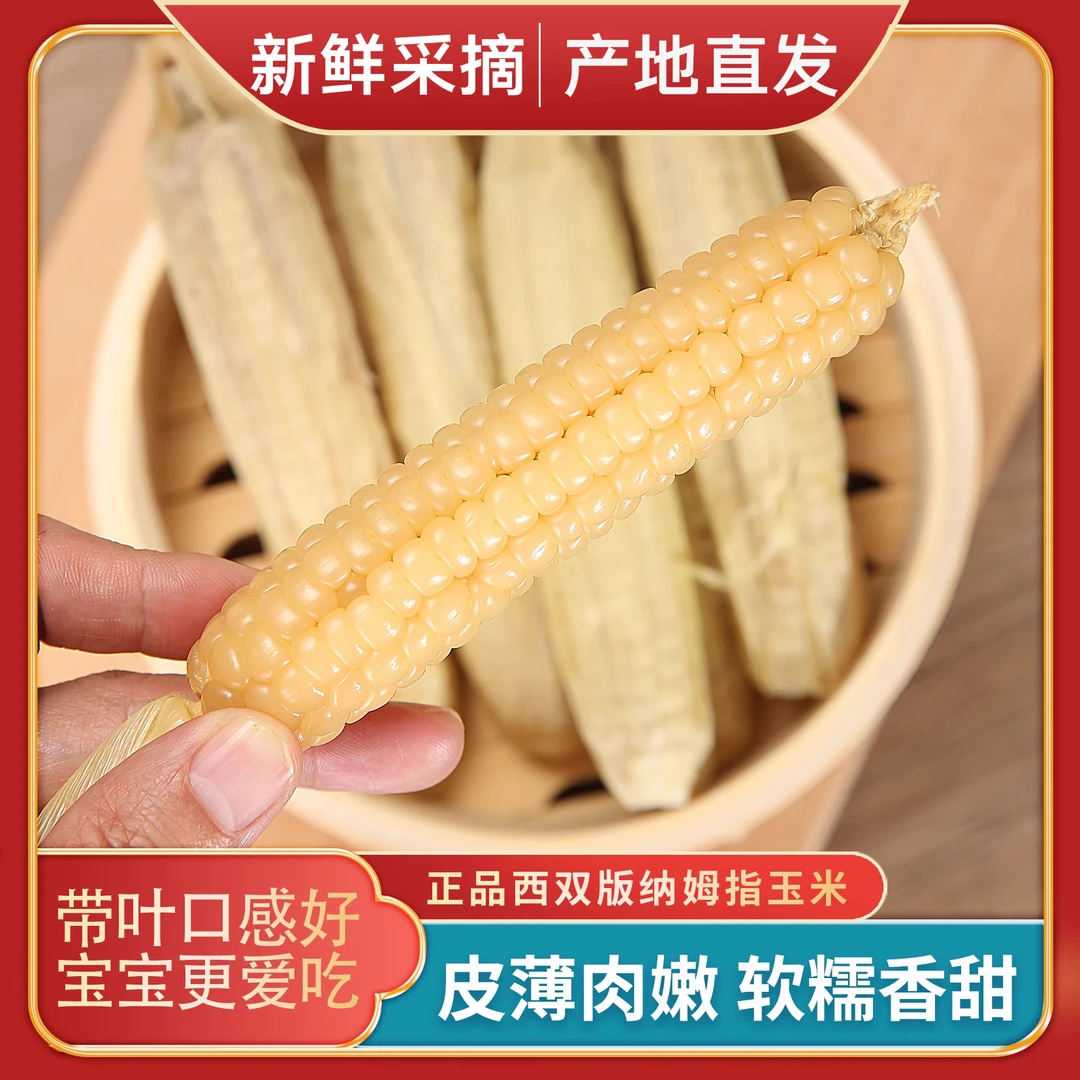 云南西双版纳拇指小玉米新鲜傣家口感小手指迷你袖珍儿童玉米美味