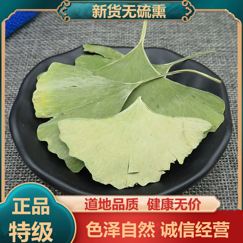 银杏叶 250克正品新鲜干货嫩银杏银杏叶水非豆蔻新货无硫优质正宗