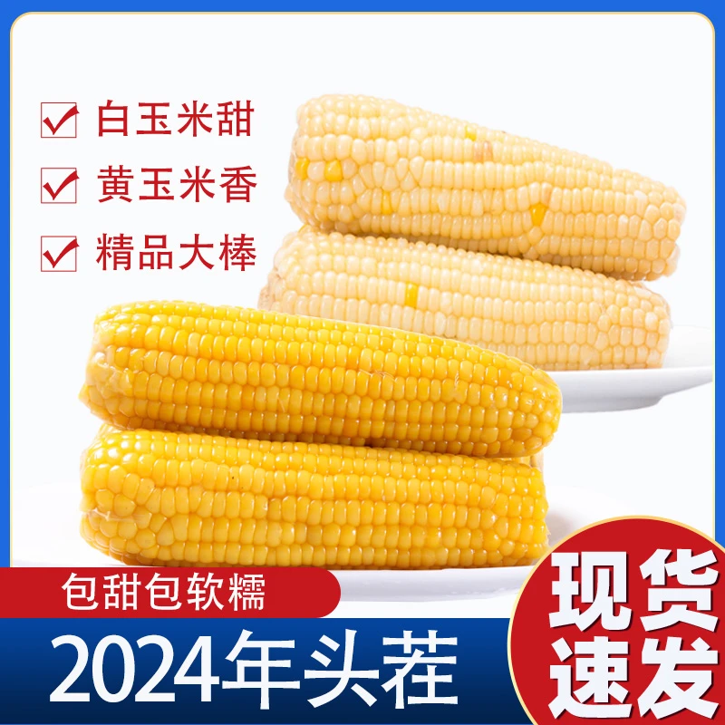 【10只大果五黄+五白净重六斤】2024年新玉米 黑龙江甜糯玉米粗粮
