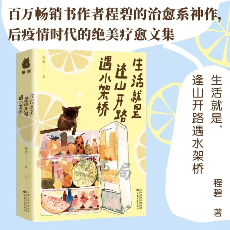 生活就是逢山开路遇水搭桥 人生故事随笔集 成长故事生活治愈文集