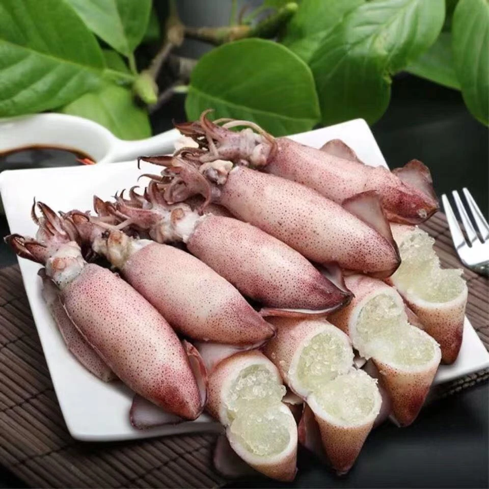 新鲜满籽海兔（笔管/乌子）