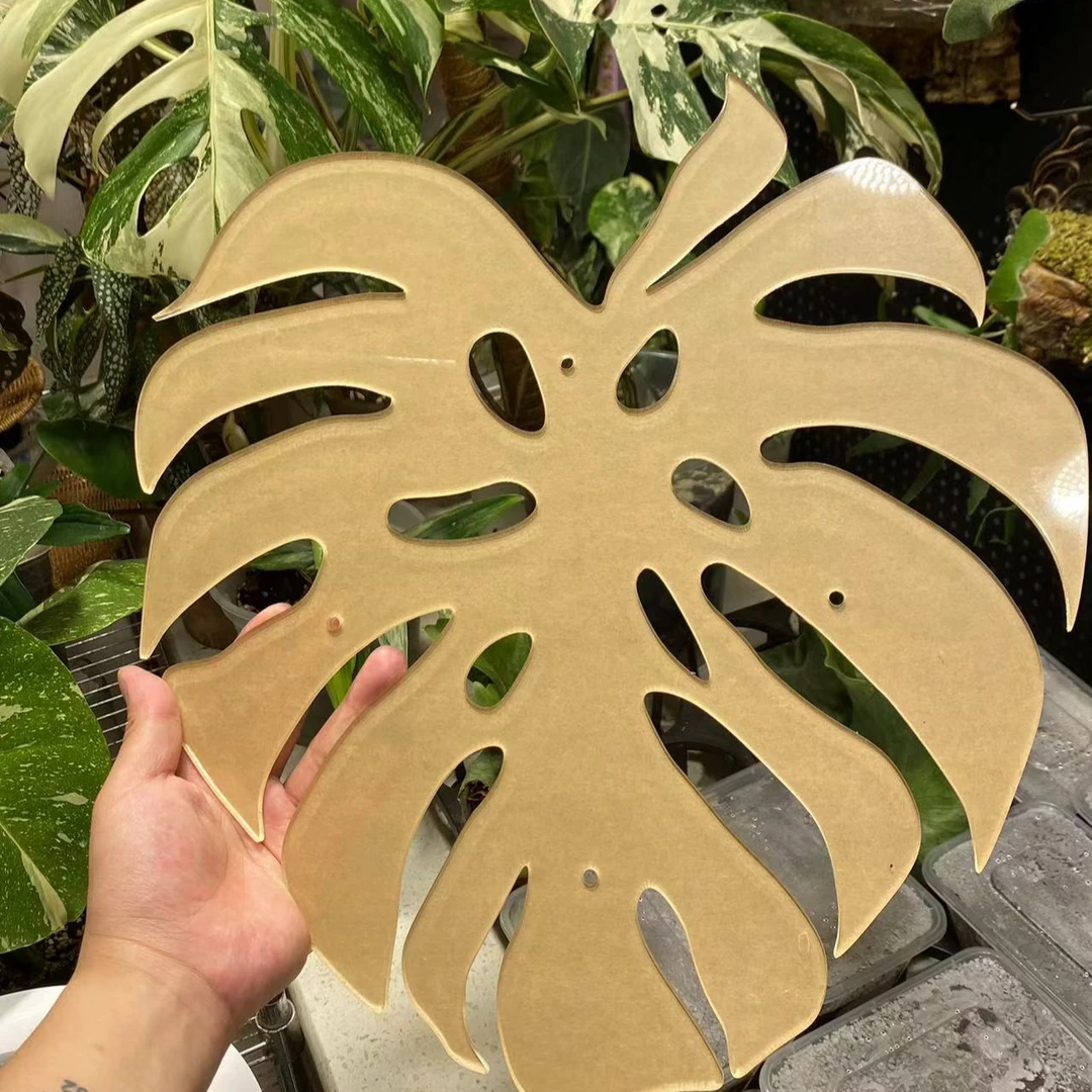 超美鹿角蕨定植版 高级简约自主设计