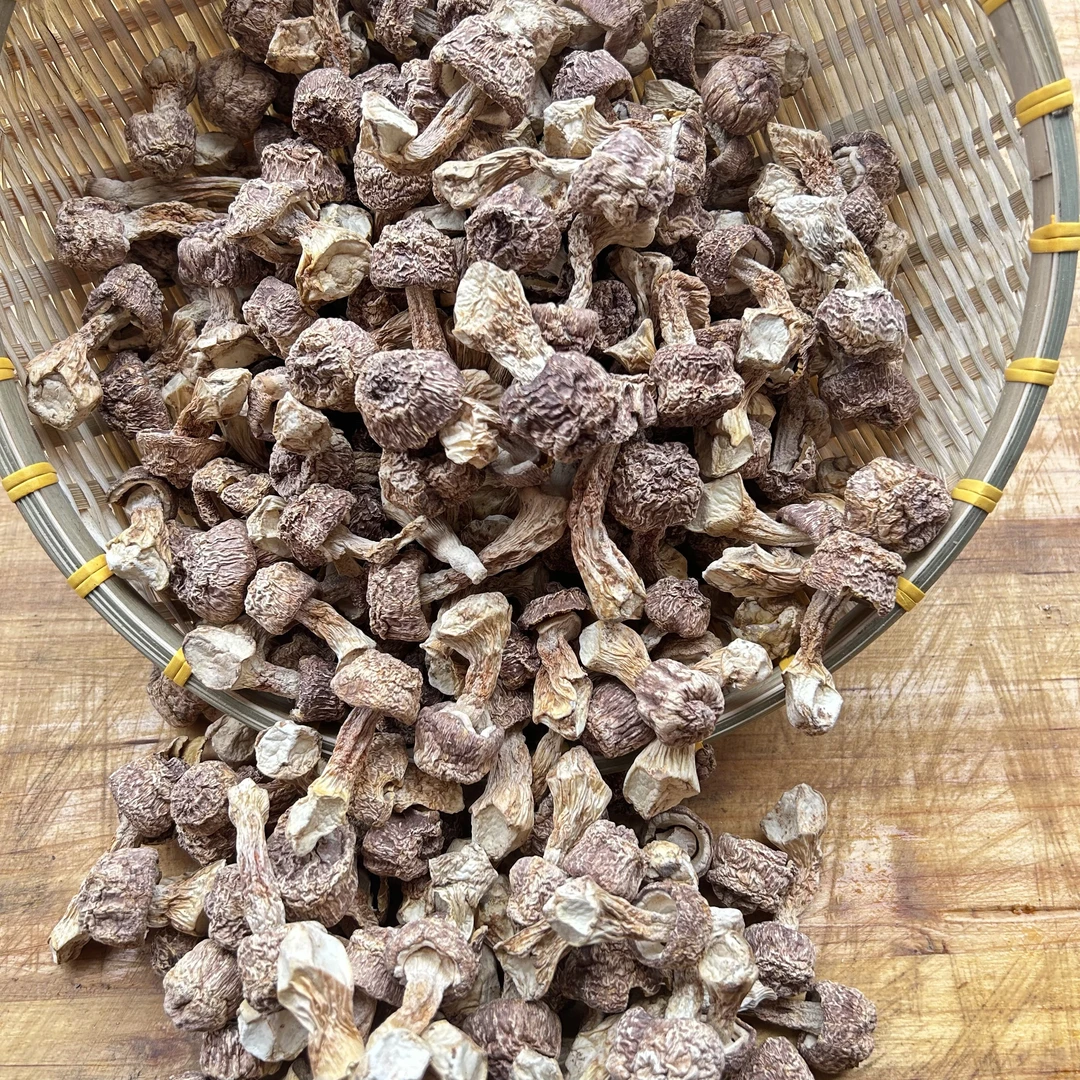 【小瞿助农】城口大巴山姬松茸