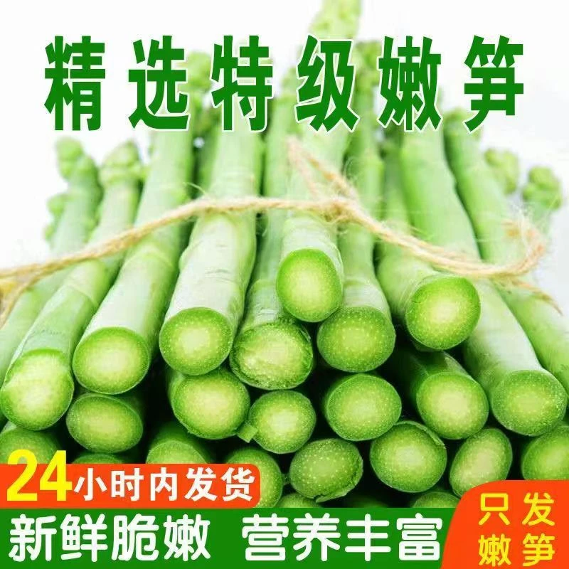 青芦笋2024年精选新鲜芦笋每天现挖现挖当季蔬菜鲜嫩芦笋产地直销