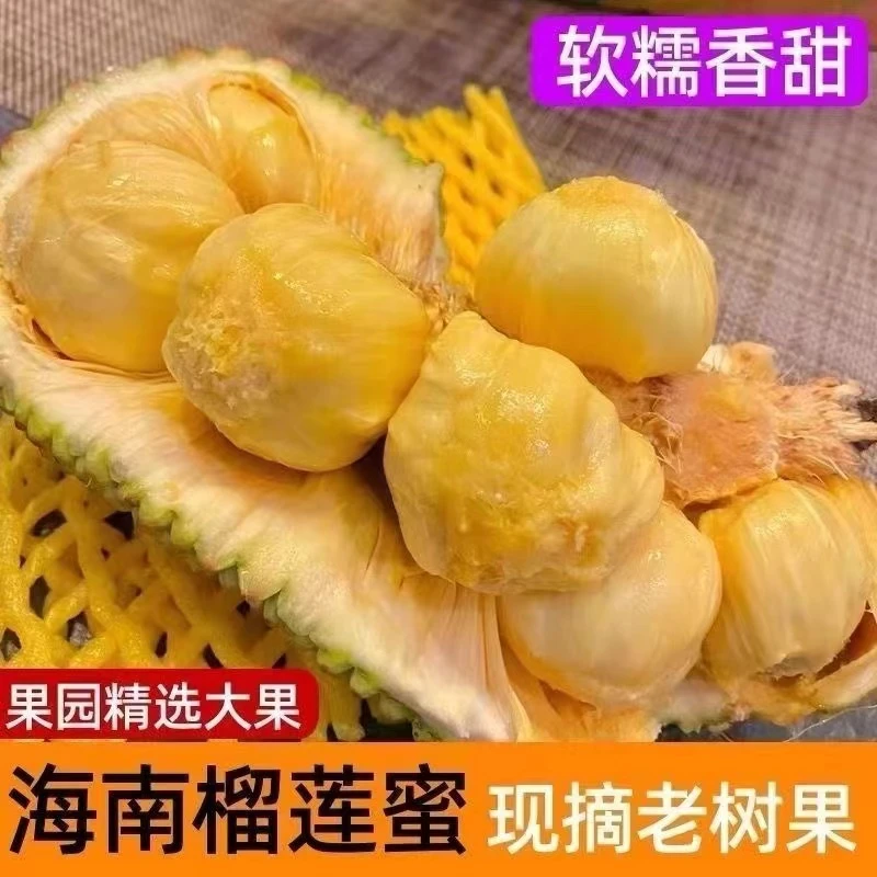 【榴莲蜜批发】海南榴莲蜜当季新鲜网红水果巴掌榴莲蜜非菠萝蜜