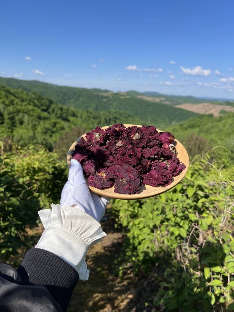 九润堂 精选 长白山原产地 墨红玫瑰 -XY