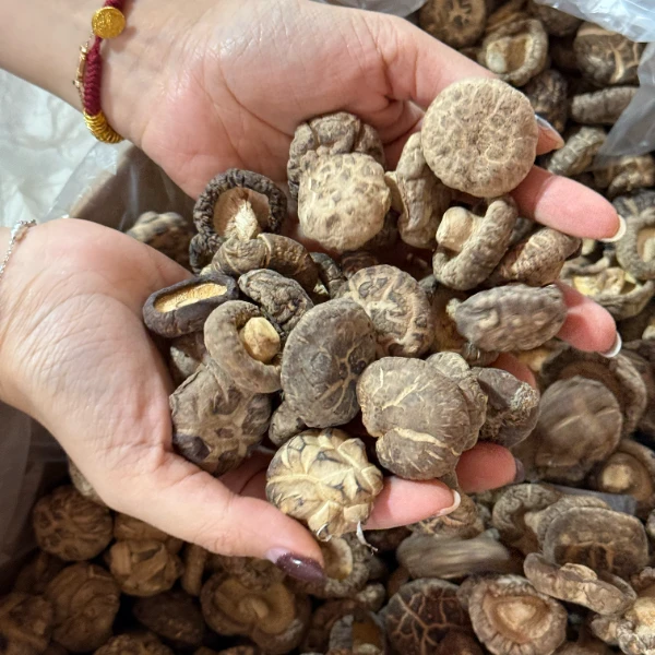 长白山 原产地 精选花菇-XY