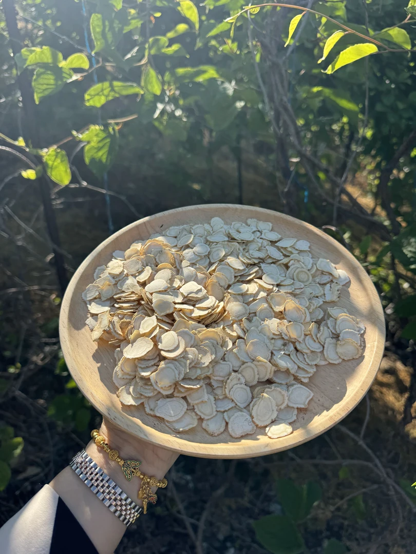 元气四宝茶 长白山原产地 足年西洋参软质片 100g/250g/500g-WX
