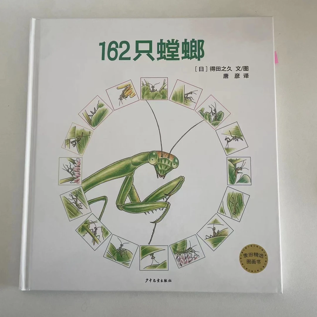 【精装绘本】麦田精选图画书：162只螳螂