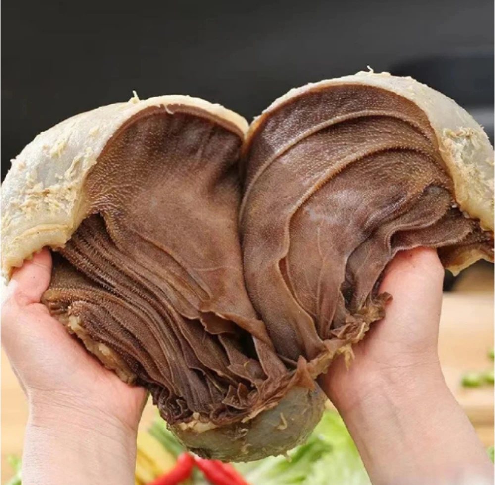 【整肚净重3斤】重庆新鲜黑毛肚整个牛百叶火锅串串麻辣烫食材