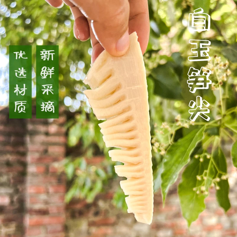 武夷山新鲜笋尖白玉笋春笋脆嫩高山笋现发糯米笋尖230g竹笋深山