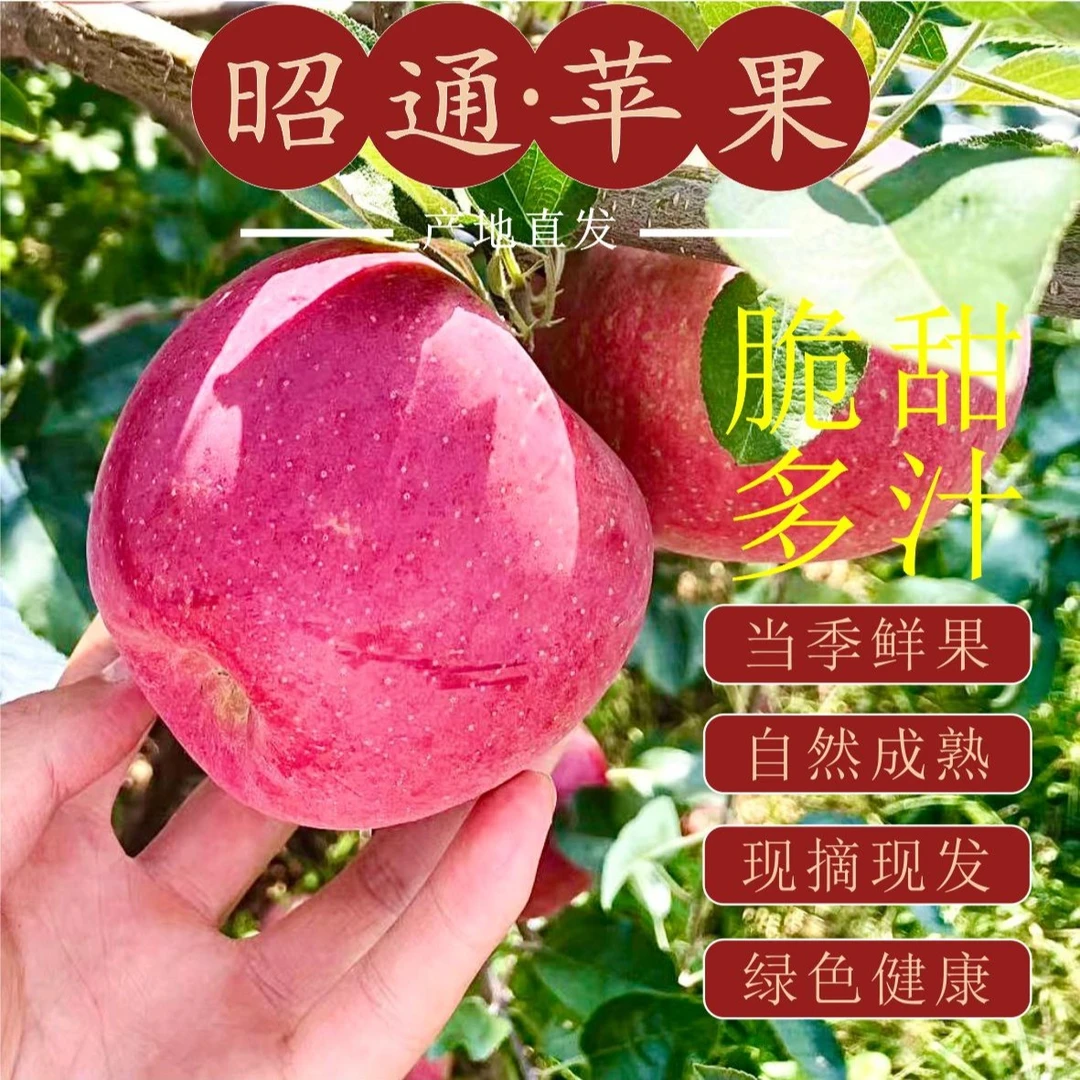 云南昭通高原新鲜红露苹果2025糖心丑苹果2-12斤净重包邮脆甜多汁