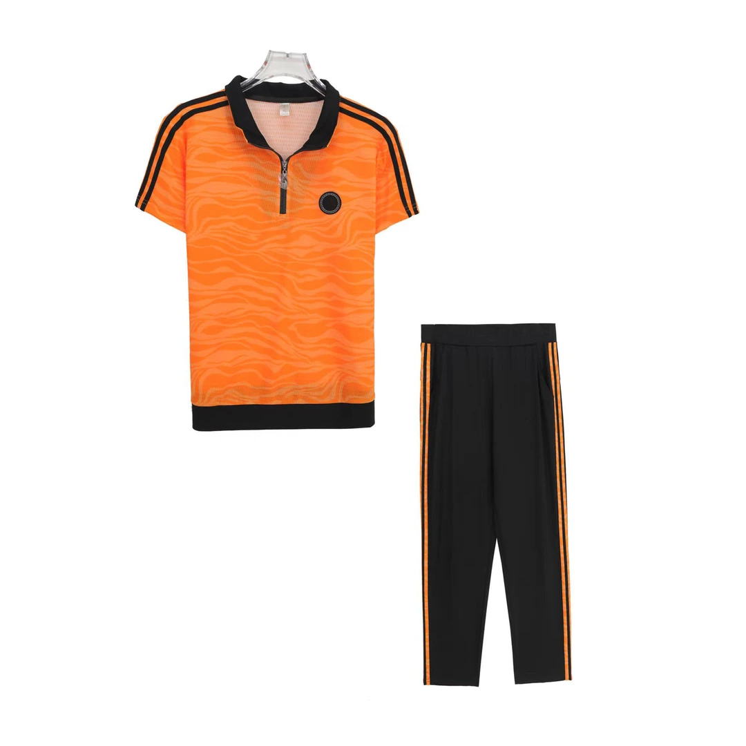 夏季休闲翻领ol短袖时尚长裤套装S632