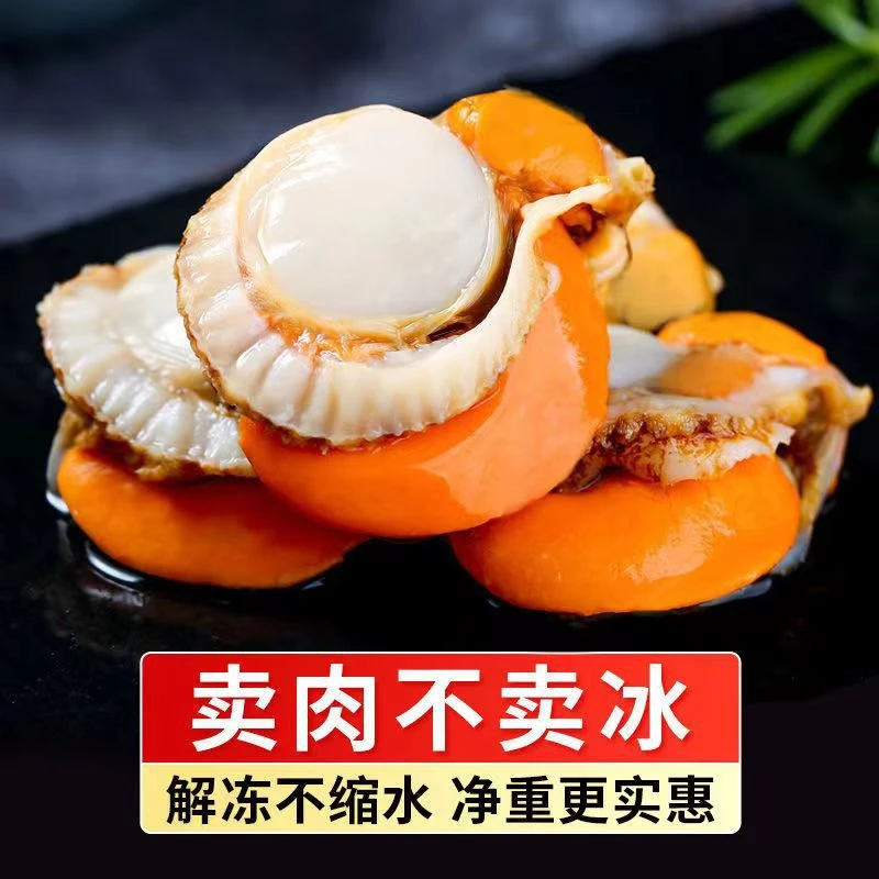 【四斤40-60大号扇贝肉】25年头茬大号无冰衣扇贝肉无泥沙