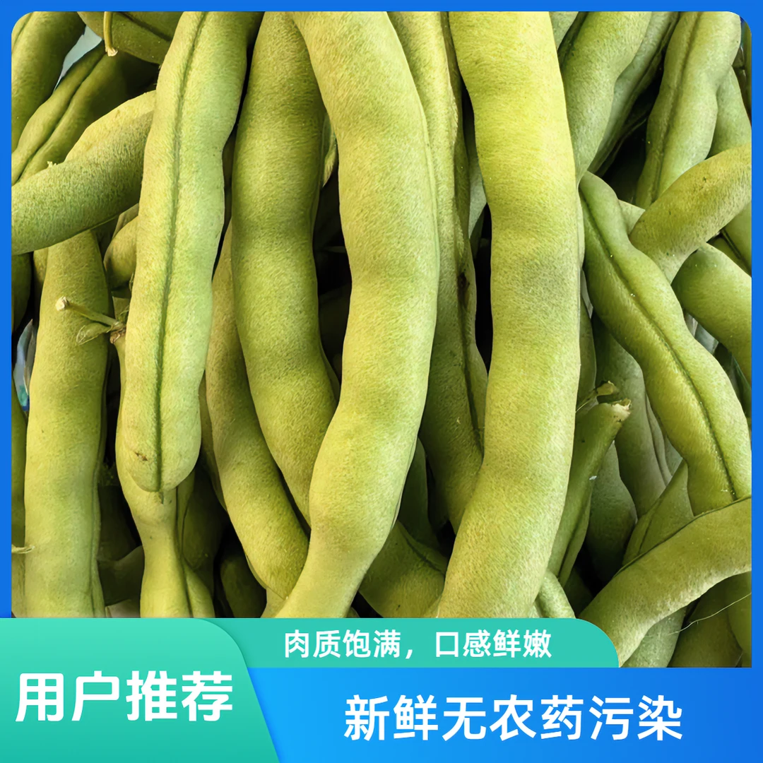 农家时令蔬菜四季豆夏日美食原生态新鲜采摘绿色美味冷冻种植洗净