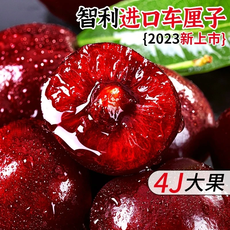 现场挑果称重验货【原箱5斤】车厘子桑提娜新鲜正宗进口孕妇水果2斤