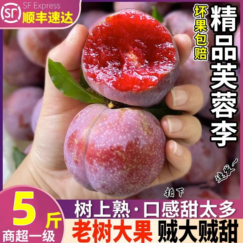 【顺丰冷链】正宗福建芙蓉李红心李子三华李1/3/5斤脆甜爽口升级中