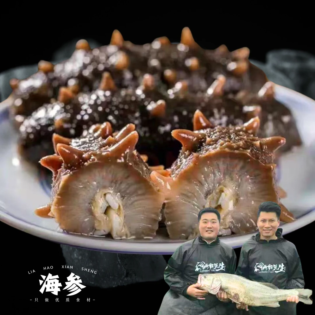 Z【参王】俩好先生鲜食海参冷冻刺参肉质肥厚营养美味发2斤装8-10头