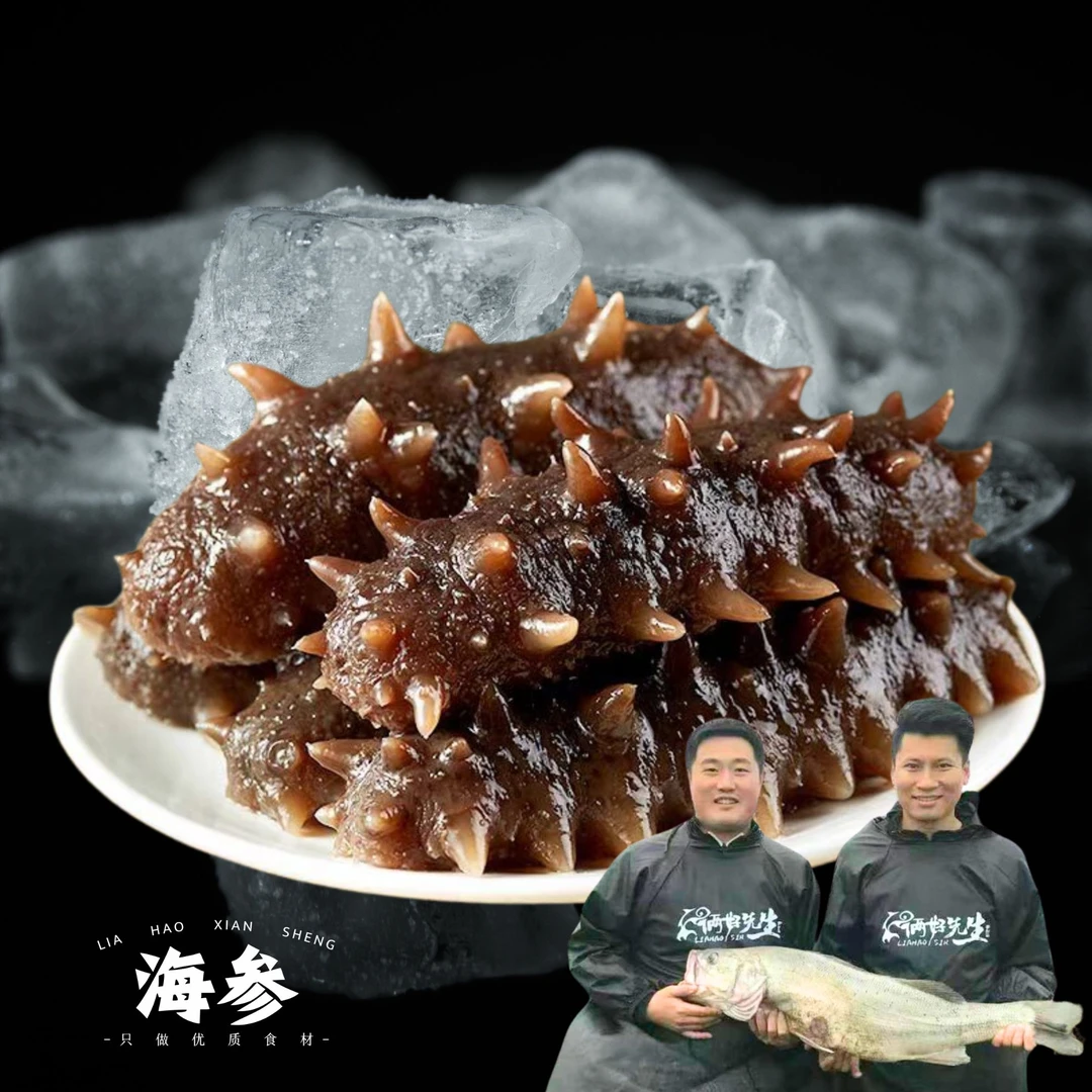 俩好先生优质冻刺参烟台鲜食1斤装海参即食海参500g（一斤8-12头）