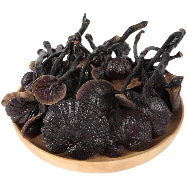 云南现收~深山竹林  竹灵之