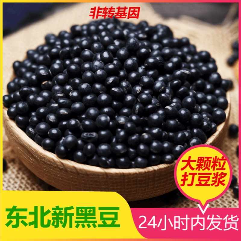 绿心黑豆新货豆浆非转基因黑豆100%纯黑豆醋泡黑豆当归绿心黑豆
