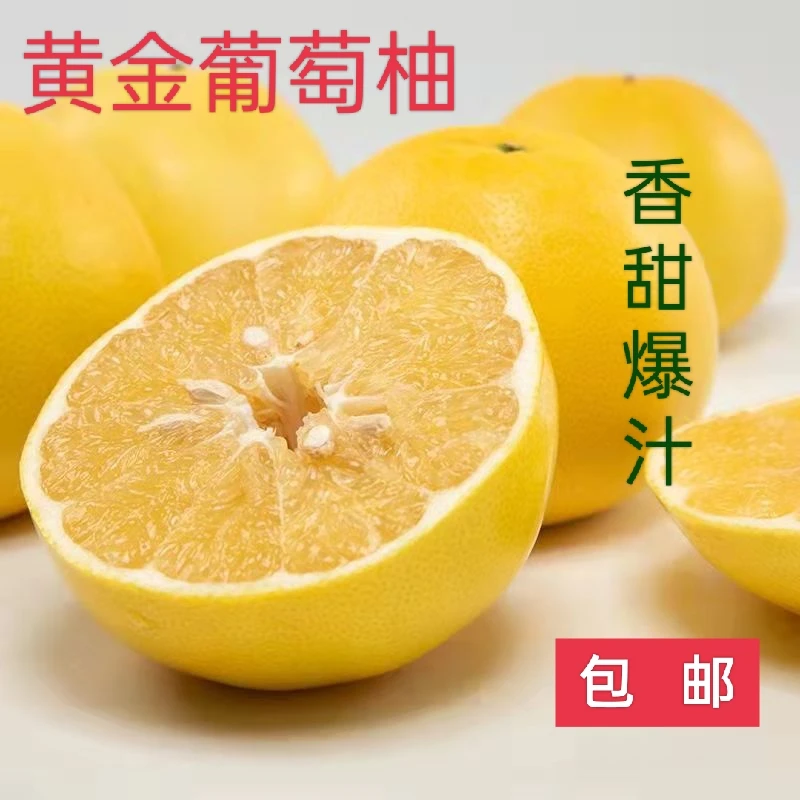 爆汁葡萄柚黄肉皮薄多汁新鲜现摘1-10斤包邮