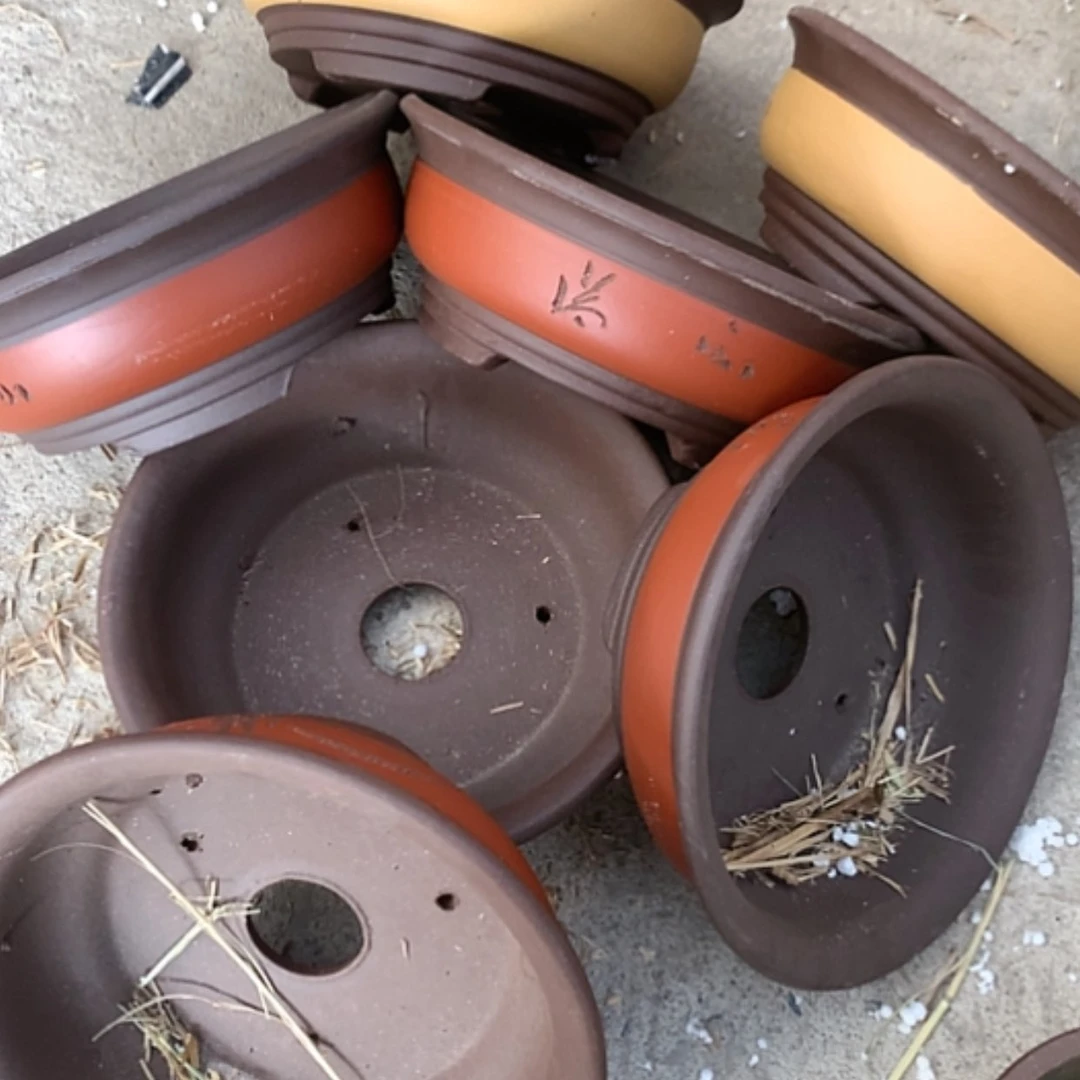 【闪购商品】紫砂花盆100-7